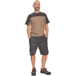 STANMORE rövidnadrág sötét barna 50