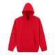 Gildan GI12500 DRYBLEND® ADULT HOODED SWEATSHIRT S