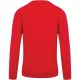 Kariban KA480 FÉRFI ORGANIKUS PAMUT KÖRNYAKAS RAGLÁN UJJÚ PULÓVER L