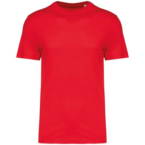 Native Spirit NS300 KÖRNYEZETBARÁT UNISZEX PÓLÓ 4XL