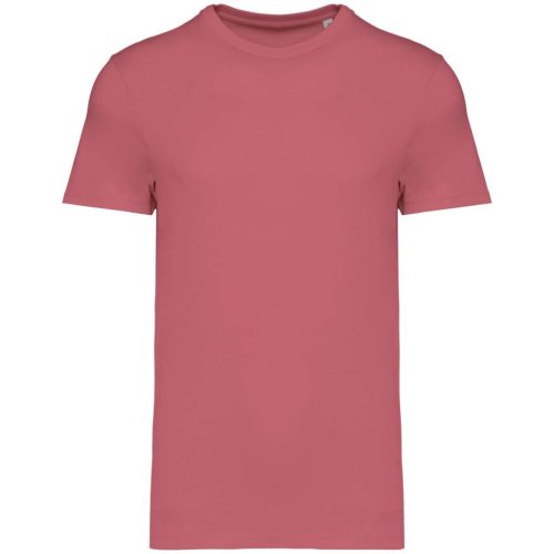 Native Spirit NS305 UNISEX ECO-FRIENDLY T-SHIRT XL