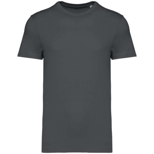 Native Spirit NS305 UNISEX ECO-FRIENDLY T-SHIRT XL