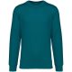 Native Spirit NS400 ECO-FRIENDLY UNISEX ROUND NECK SWEATSHIRT 2XL