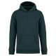 Native Spirit NS401 ECO-FRIENDLY UNISEX HOODED SWEATSHIRT 4XL