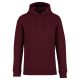 Native Spirit NS401 ECO-FRIENDLY UNISEX HOODED SWEATSHIRT L