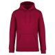 Native Spirit NS401 ECO-FRIENDLY UNISEX HOODED SWEATSHIRT 2XL