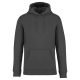 Native Spirit NS401 ECO-FRIENDLY UNISEX HOODED SWEATSHIRT 2XL