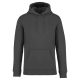 Native Spirit NS401 ECO-FRIENDLY UNISEX HOODED SWEATSHIRT 4XL