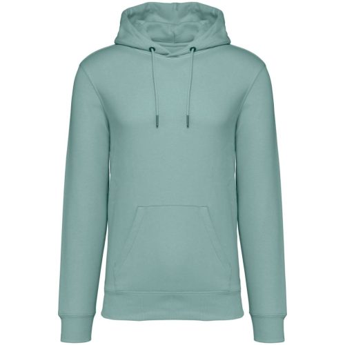 Native Spirit NS401 ECO-FRIENDLY UNISEX HOODED SWEATSHIRT 2XL