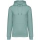 Native Spirit NS401 ECO-FRIENDLY UNISEX HOODED SWEATSHIRT XXS