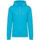 Native Spirit NS401 ECO-FRIENDLY UNISEX HOODED SWEATSHIRT 2XL