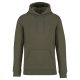 Native Spirit NS401 ECO-FRIENDLY UNISEX HOODED SWEATSHIRT 4XL