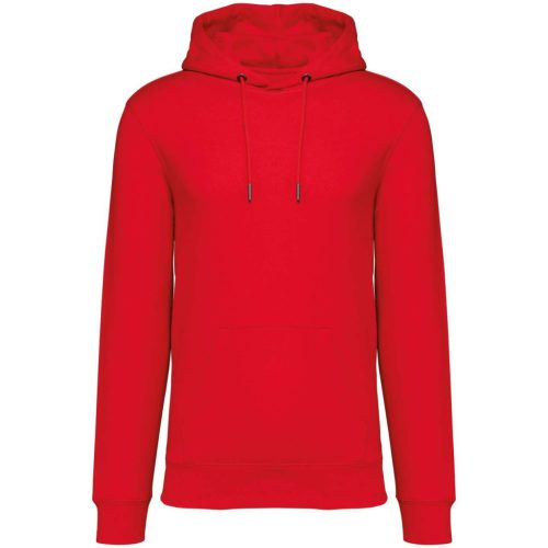 Native Spirit NS401 ECO-FRIENDLY UNISEX HOODED SWEATSHIRT 3XL