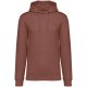 Native Spirit NS401 ECO-FRIENDLY UNISEX HOODED SWEATSHIRT XS