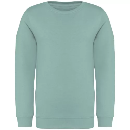 Native Spirit NS403 KÖRNYEZETBARÁT KÖRNYAKAS GYERMEK PULÓVER 10/12