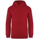 Native Spirit NS404 KIDS’ HOODED SWEATSHIRT 12/14
