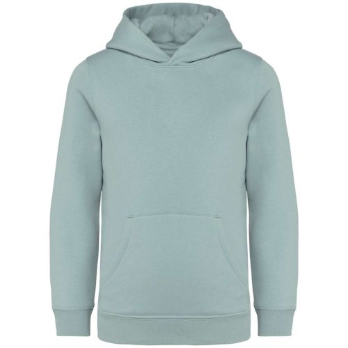 Native Spirit NS404 KIDS’ HOODED SWEATSHIRT 10/12
