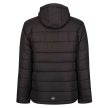 Regatta RETRA241 NAVIGATE THERMAL DZSEKI 3XL