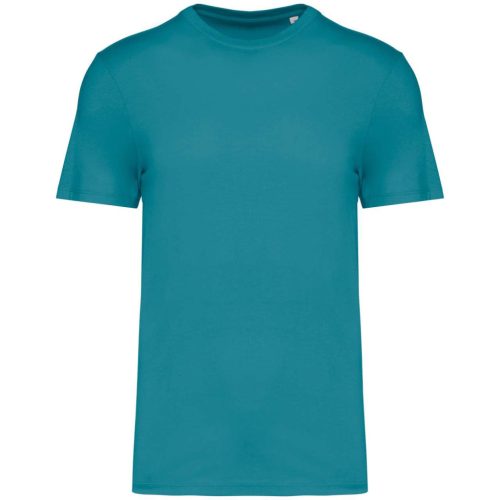 Native Spirit NS300 ECO-FRIENDLY UNISEX T-SHIRT L