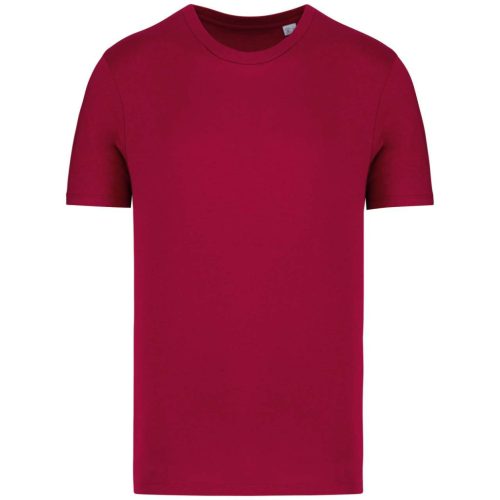 Native Spirit NS300 ECO-FRIENDLY UNISEX T-SHIRT 4XL