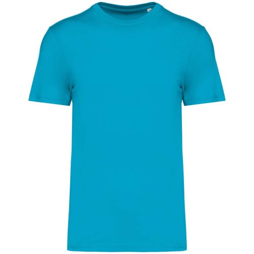 Native Spirit NS300 ECO-FRIENDLY UNISEX T-SHIRT XL