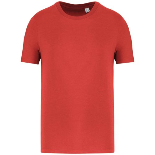 Native Spirit NS300 ECO-FRIENDLY UNISEX T-SHIRT 2XL