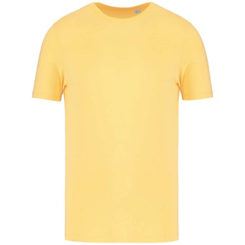 Native Spirit NS300 ECO-FRIENDLY UNISEX T-SHIRT 4XL