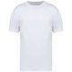 Native Spirit NS332 MEN'S OVERSIZED T-SHIRT 2XL