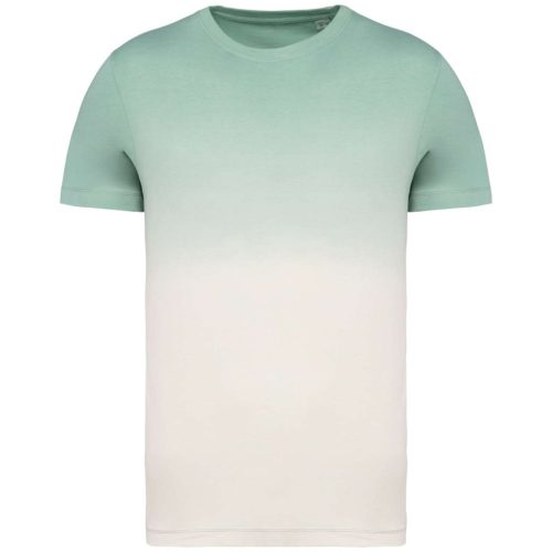 Native Spirit NS345 UNISEX ECO-FRIENDLY DIP DYE T-SHIRT S