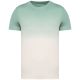 Native Spirit NS345 UNISEX ECO-FRIENDLY DIP DYE T-SHIRT S